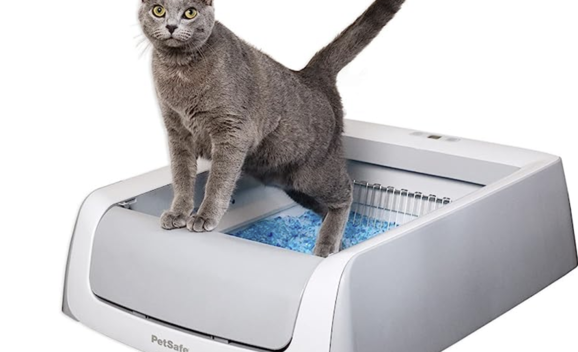 PetSafe ScoopFree Cat Litter Box